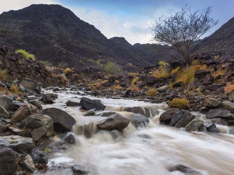 Wadi Shawka 