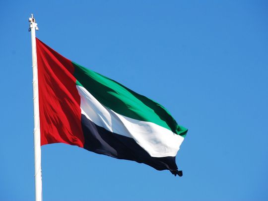 UAE flag