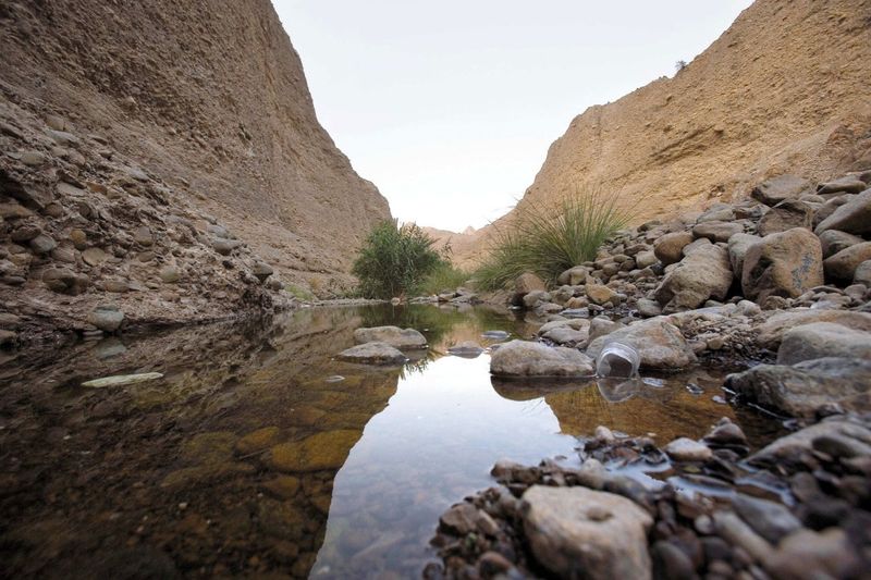 Wadi Abadilah, in Fujairah