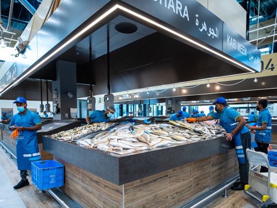 Mina Zayed_Fish market_3-1658822397551