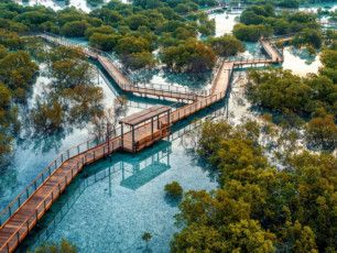 NAT_220825 Etihad Mangroves drone jubail-366-1661441665869