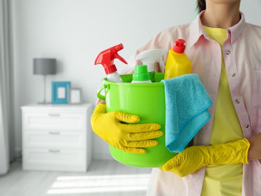 New Domestic Workers Law