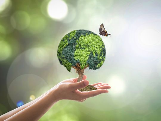 OPN world environment day