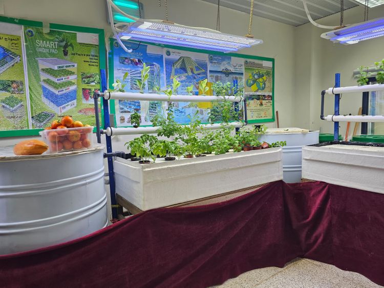 Dubai central jail greenhouses