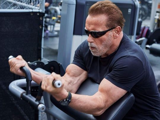 Arnold Schwarzenegger