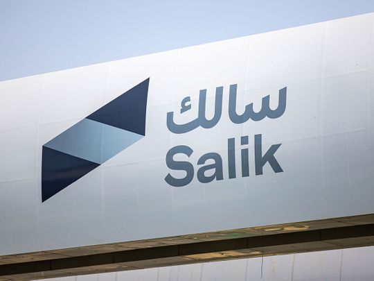 Stock-Salik