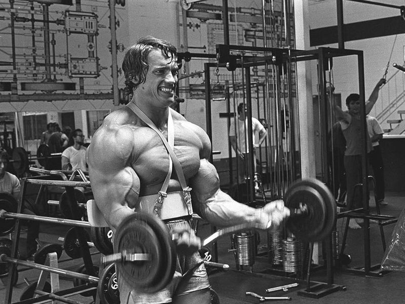 Arnold Schwarzenegger 