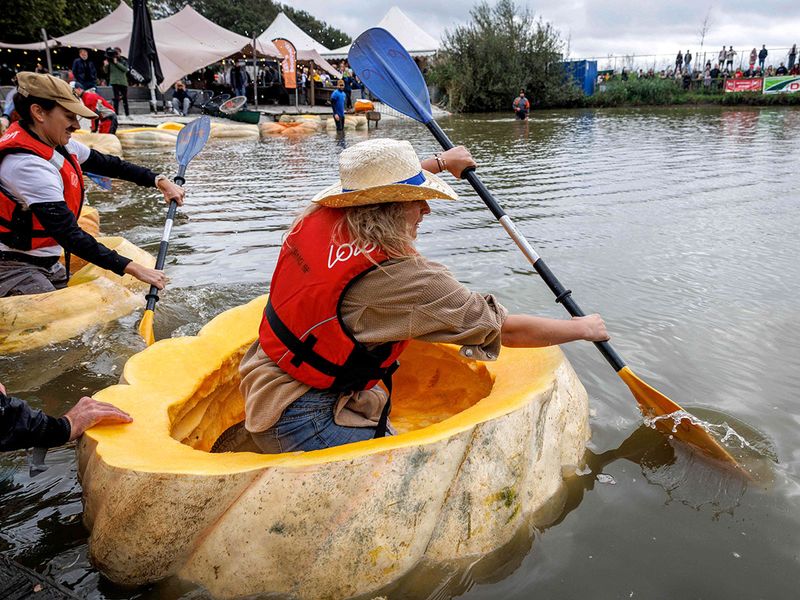 PUMPKIN RACE gallery