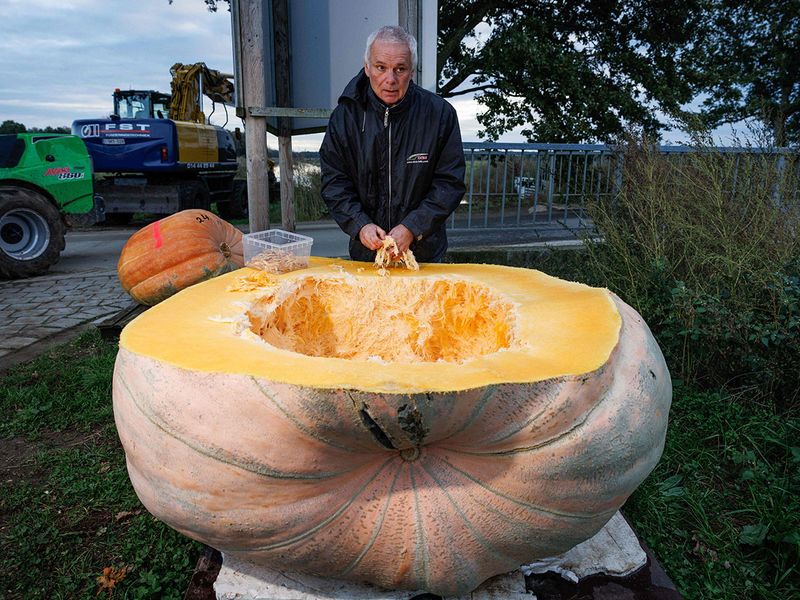 PUMPKIN RACE gallery