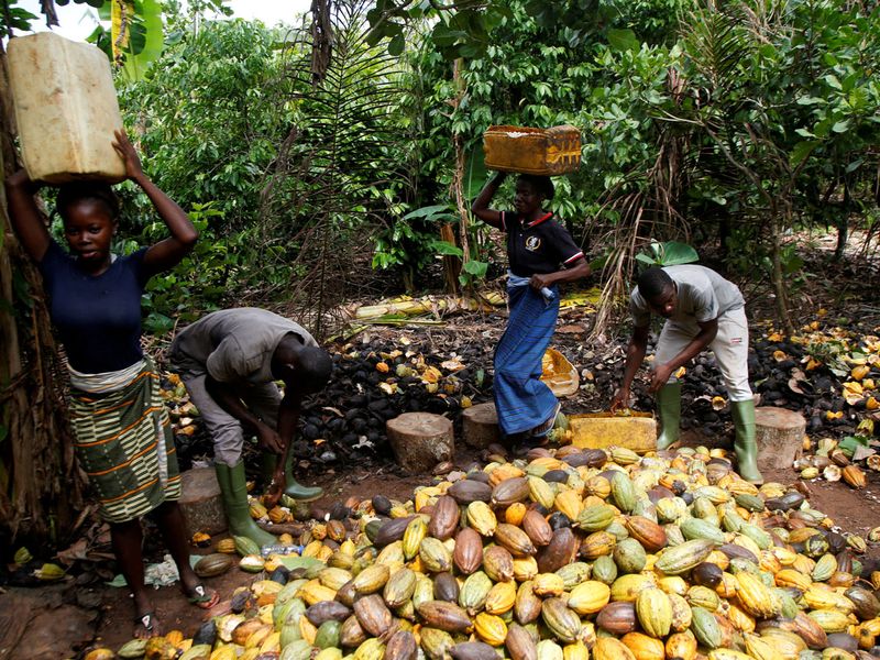 COCOA DEMAND 