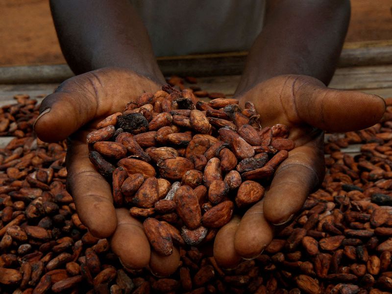 COCOA DEMAND 