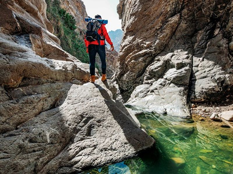 wadi shees