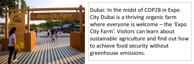 Expo City Farm 1