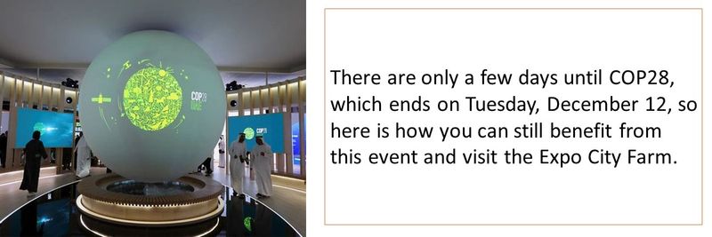 There are only a few days until COP28, which ends on Tuesday, December 12, so here is how you can still benefit from this event and visit the Expo City Farm.