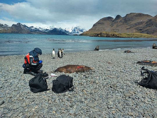 Antarctica